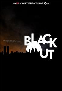 American Experience: The Blackout (2015) watch online HD