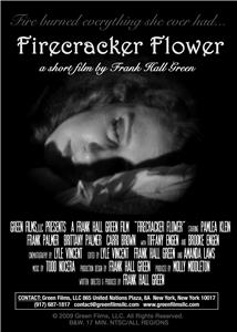 Firecracker Flower (2009) watch online HD