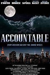Accountable Pilot (2019– ) watch online HD