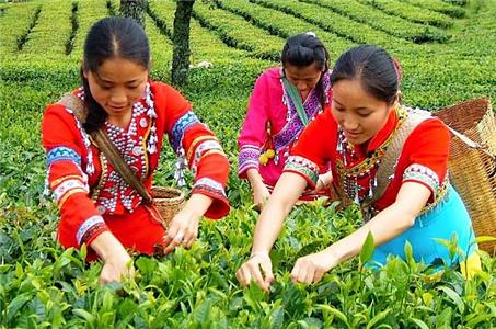 Beautiful China  watch online HD