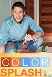 Color Splash Basketball-Themed Family Room (2007– ) watch online HD