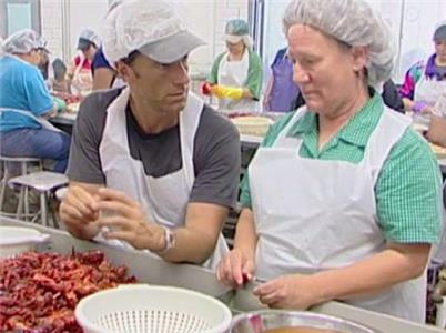 Dirty Jobs Termite Researcher (2005–2012) watch online HD