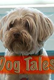 Dog Tales Training Rescue Dogs in Paris/Australian Shepherds (2007– ) watch online HD