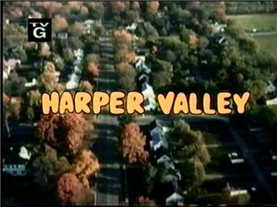 Harper Valley P.T.A.  watch online HD