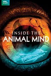 Inside the Animal Mind The Problem Solvers (2014– ) watch online HD