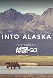 Into Alaska The Heart of Bear Country (2018– ) watch online HD