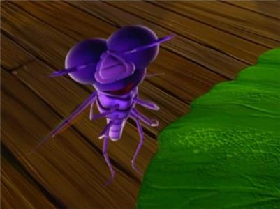 Miss Spider's Sunny Patch Friends The Bug Flu/A Time Telling Tale (2004– ) watch online HD