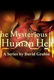 The Mysterious Human Heart The Silent Killer (2007– ) watch online HD