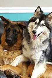 Who's Your Doggie? Pilot (2018– ) watch online HD