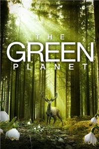 Das grüne Wunder - Unser Wald (2012) watch online HD