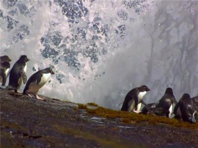 Great Migrations Science of Great Migrations (2010– ) watch online HD