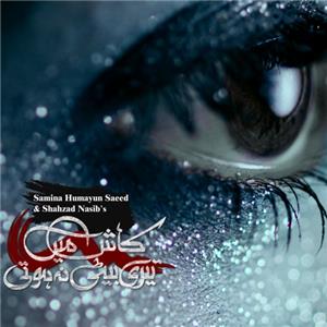 Kash Main Teri Beti Na Hoti  watch online HD