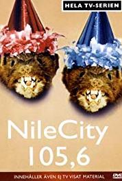 NileCity 105.6 Vuxna män gör saker tillsammans (1995) watch online HD