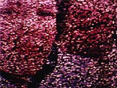 Remains to Be Seen (1989) watch online HD