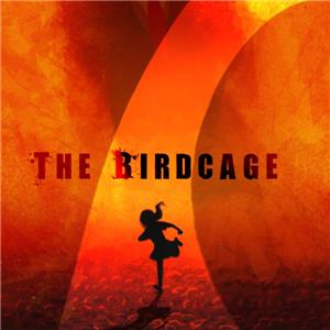 The Birdcage  watch online HD