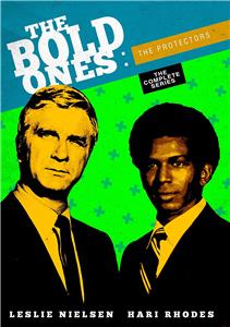 The Bold Ones: The Protectors  watch online HD