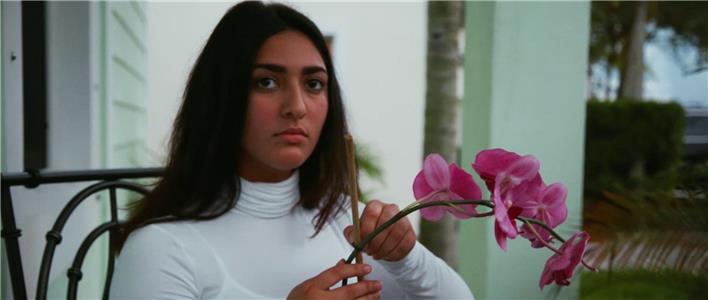 V4.51 (2018) watch online HD