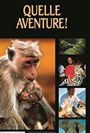 Walk on the Wild Side Cheetah of Namibia (1999–2000) watch online HD