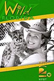 Wild Florida Dolphins at Play (2006–2009) watch online HD