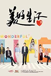 Wonderful Life Episode #1.8 (2017– ) watch online HD