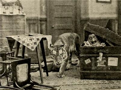 A Tammany Boarder (1913) watch online HD