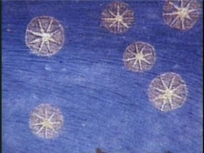 Ancient Mysteries The Magic of Alchemy (1994–1998) watch online HD