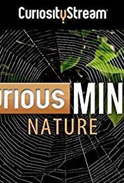 Curious Minds: Animals Blood Bonds of Vampire Bats (2015– ) watch online HD