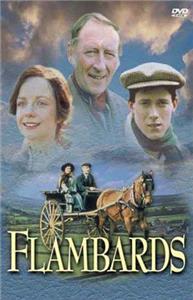 Flambards  watch online HD