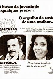 Gaivotas Episode #1.59 (1979– ) watch online HD