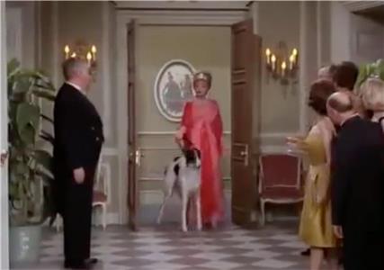 Hoppla Lucy! My Fair Lucy (1962–1968) watch online HD