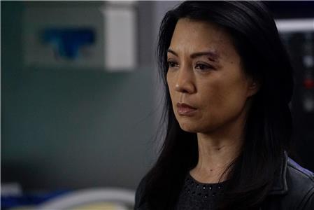 Marvel's Agents of S.H.I.E.L.D. The End (2013– ) watch online HD