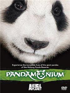 Pandamonium (2008) watch online HD
