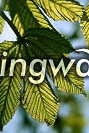 Springwatch Episode #3.7 (2005– ) watch online HD