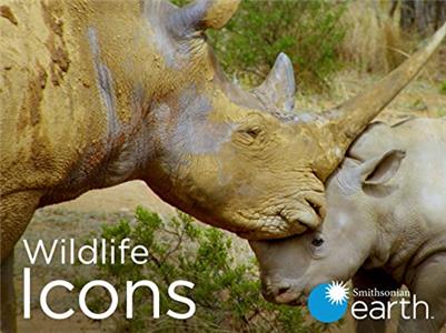 Wildlife icons  watch online HD