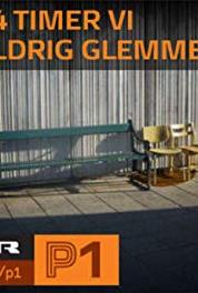 24 timer vi aldrig glemmer Operation Bøllebank (2009– ) watch online HD