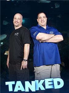 Die Aquarium-Profis Bellagio Makeover (2011– ) watch online HD