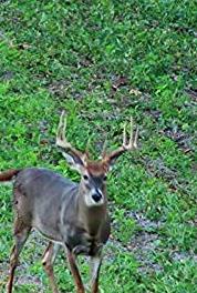 Dream Season Rut Monsters (2004– ) watch online HD