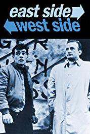 East Side/West Side Take Sides with the Sun (1963–1964) watch online HD