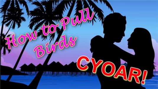 How to Pull Birds (2011) watch online HD