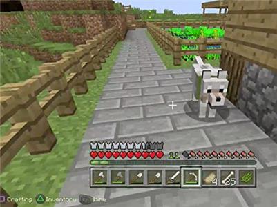 Minecraft PS4 Gameplay - Zebra Gamer Railroad to Success (2014–2016) watch online HD