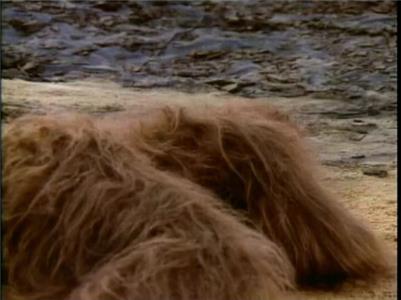 Superboy Neila and the Beast (1988–1992) watch online HD