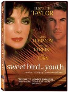 Sweet Bird of Youth (1989) watch online HD