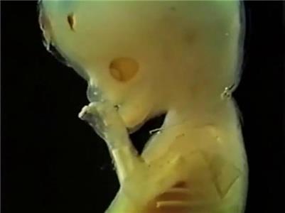 The Body in Question Shaping the Future (1978– ) watch online HD