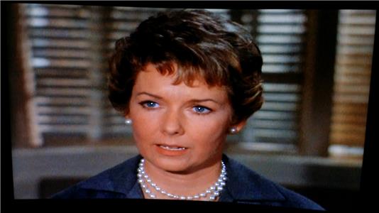 The F.B.I. The Swindler (1965–1974) watch online HD