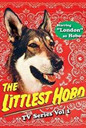 The Littlest Hobo The Day of the Fugitive (1979–1985) watch online HD