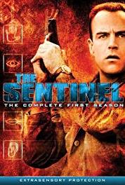 The Sentinel Reunion (1996–1999) watch online HD