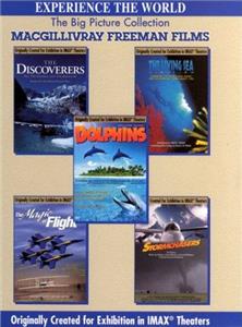 Dolphins: The Ride (1997) watch online HD
