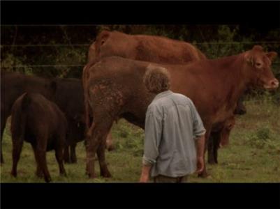 Fatal Attractions Raging Bulls (2010– ) watch online HD