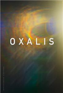 Oxalis (2018) watch online HD