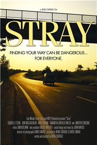Stray (2015) watch online HD